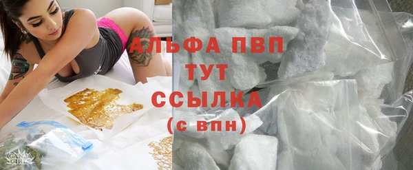 стафф Лабытнанги