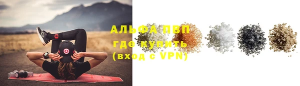 стафф Лабытнанги